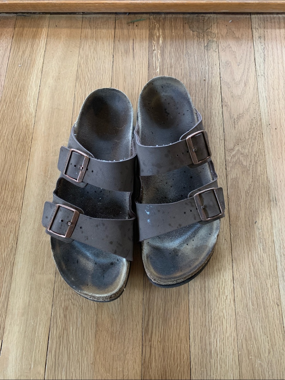 Arizona Birkenstock 43